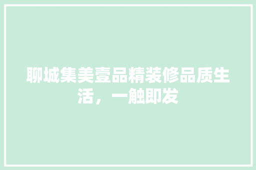 聊城集美壹品精装修品质生活，一触即发