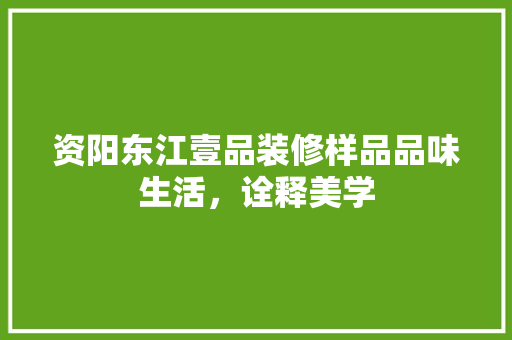 资阳东江壹品装修样品品味生活，诠释美学