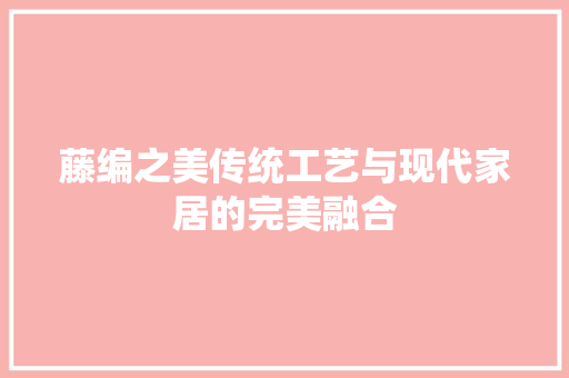 藤编之美传统工艺与现代家居的完美融合
