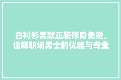 白衬衫男款正装修身免烫，诠释职场男士的优雅与专业