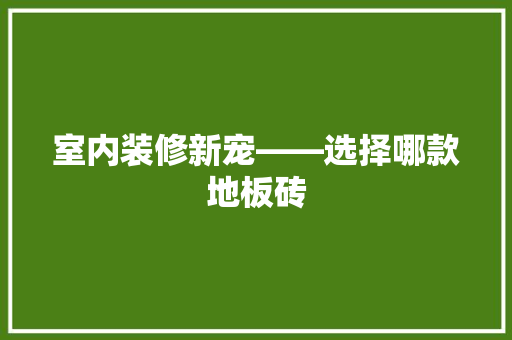 室内装修新宠——选择哪款地板砖