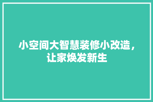 小空间大智慧装修小改造，让家焕发新生
