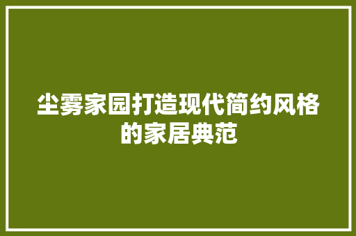 尘雾家园打造现代简约风格的家居典范