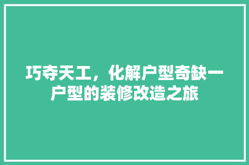 巧夺天工，化解户型奇缺一户型的装修改造之旅
