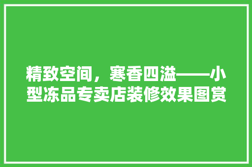 精致空间，寒香四溢——小型冻品专卖店装修效果图赏析