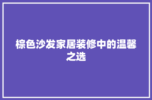 棕色沙发家居装修中的温馨之选