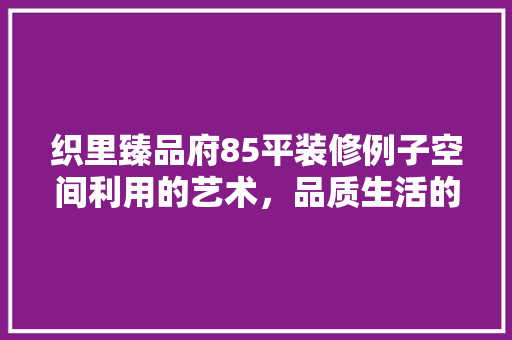 织里臻品府85平装修例子空间利用的艺术，品质生活的呈现