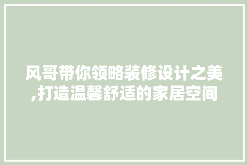 风哥带你领略装修设计之美,打造温馨舒适的家居空间  第1张