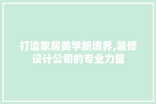 打造家居美学新境界,装修设计公司的专业力量