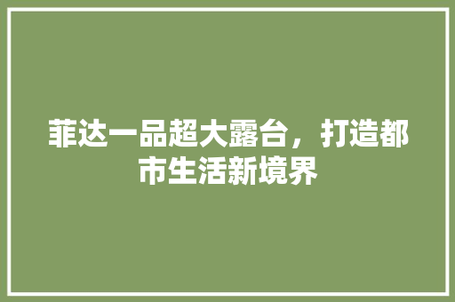 菲达一品超大露台，打造都市生活新境界
