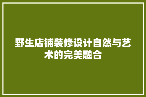野生店铺装修设计自然与艺术的完美融合
