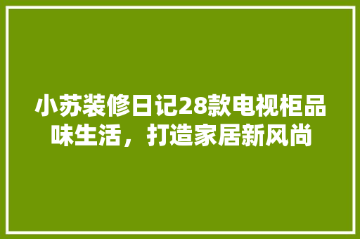 小苏装修日记28款电视柜品味生活，打造家居新风尚