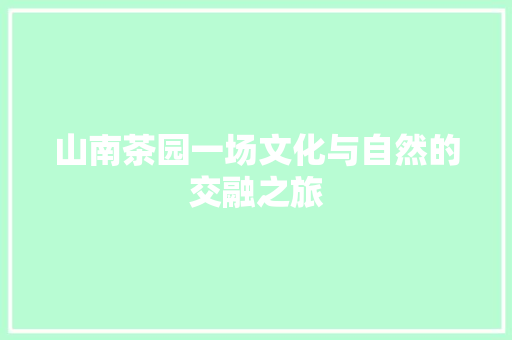 山南茶园一场文化与自然的交融之旅