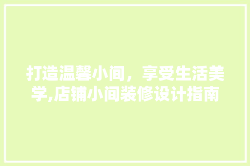打造温馨小间，享受生活美学,店铺小间装修设计指南