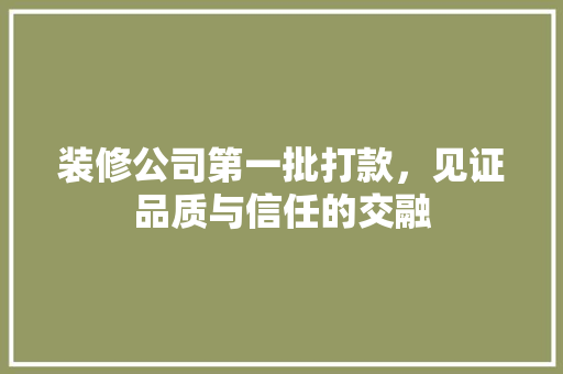 装修公司第一批打款，见证品质与信任的交融