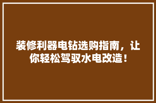 装修利器电钻选购指南，让你轻松驾驭水电改造！