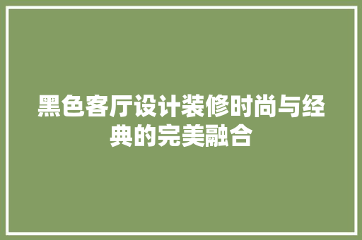 黑色客厅设计装修时尚与经典的完美融合