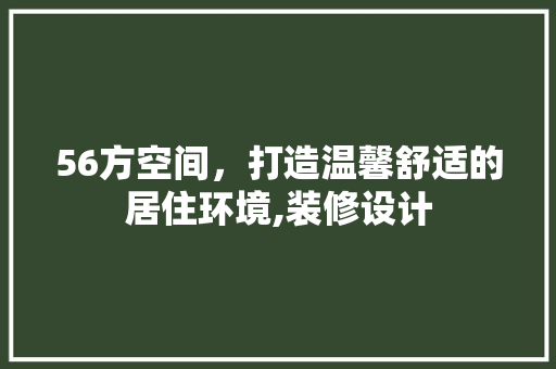 56方空间，打造温馨舒适的居住环境,装修设计