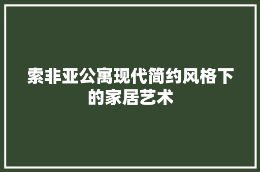 索非亚公寓现代简约风格下的家居艺术