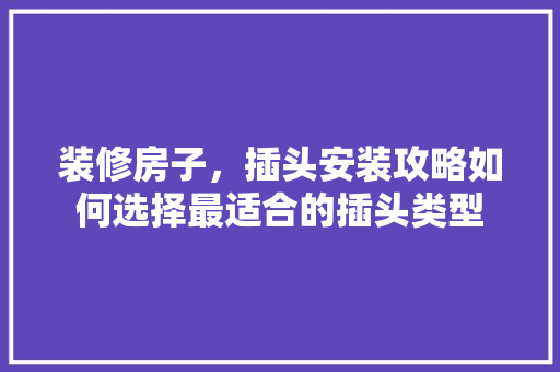 装修房子，插头安装攻略如何选择最适合的插头类型
