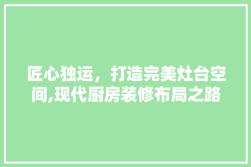 匠心独运，打造完美灶台空间,现代厨房装修布局之路