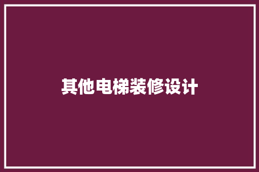 其他电梯装修设计