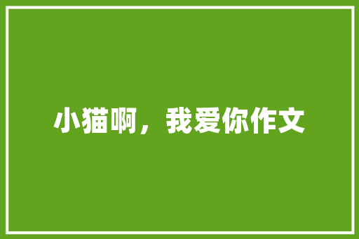 展会装修设计招标