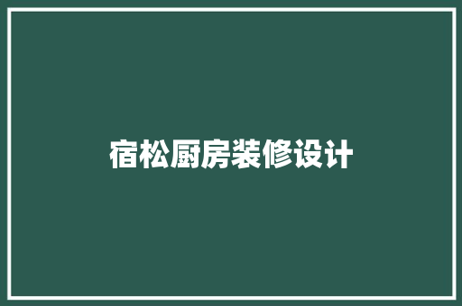 宿松厨房装修设计