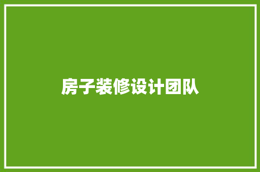 房子装修设计团队