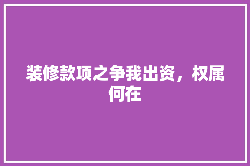 装修款项之争我出资，权属何在