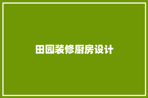 田园装修厨房设计