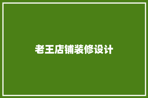 老王店铺装修设计