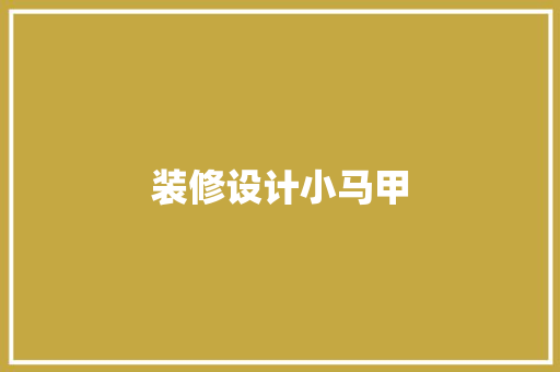 装修设计小马甲