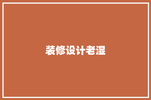 装修设计老湿