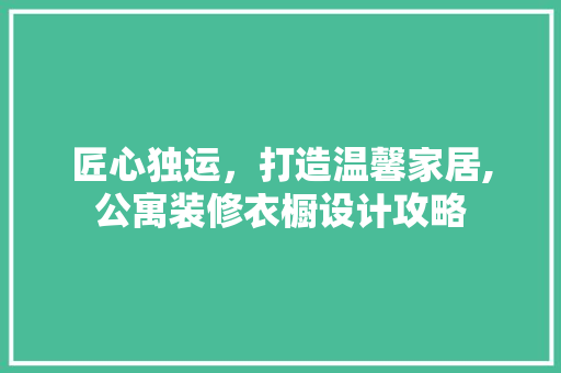 匠心独运，打造温馨家居,公寓装修衣橱设计攻略