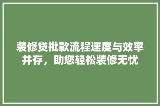 装修贷批款流程速度与效率并存，助您轻松装修无忧