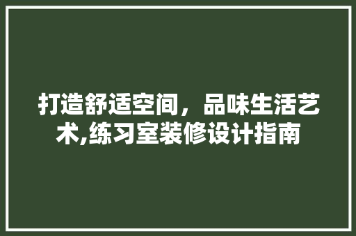 打造舒适空间，品味生活艺术,练习室装修设计指南