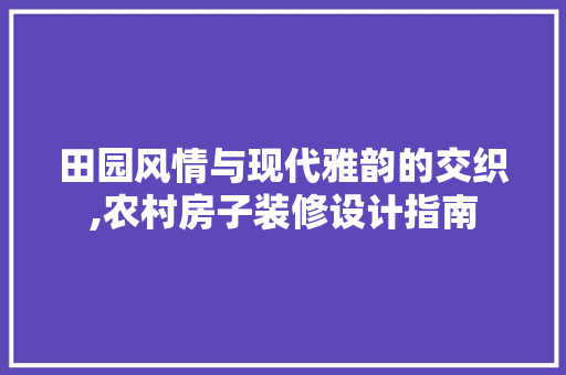 田园风情与现代雅韵的交织,农村房子装修设计指南
