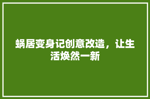 蜗居变身记创意改造，让生活焕然一新